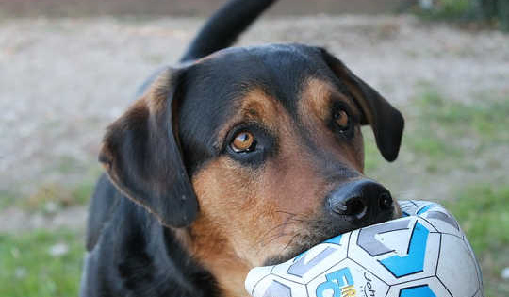 Learning to Ask for What One Wants in Life